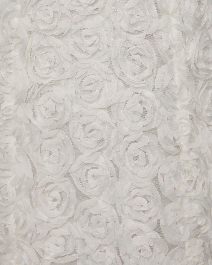 Purely Yours 3D Floral Applique Mini Dress