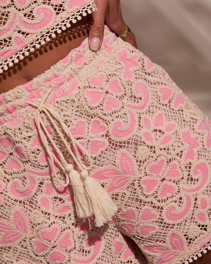 Marney Embroidered Open Knit Shorts