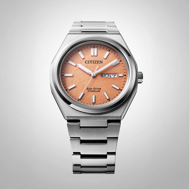 Citizen Gents Eco-Drive Zenshin Watch