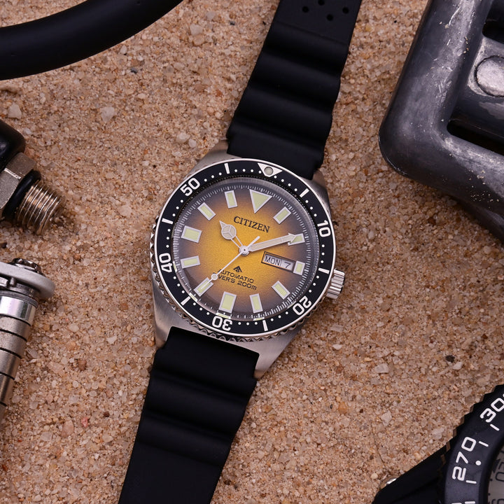 Citizen Promaster Marine Watch